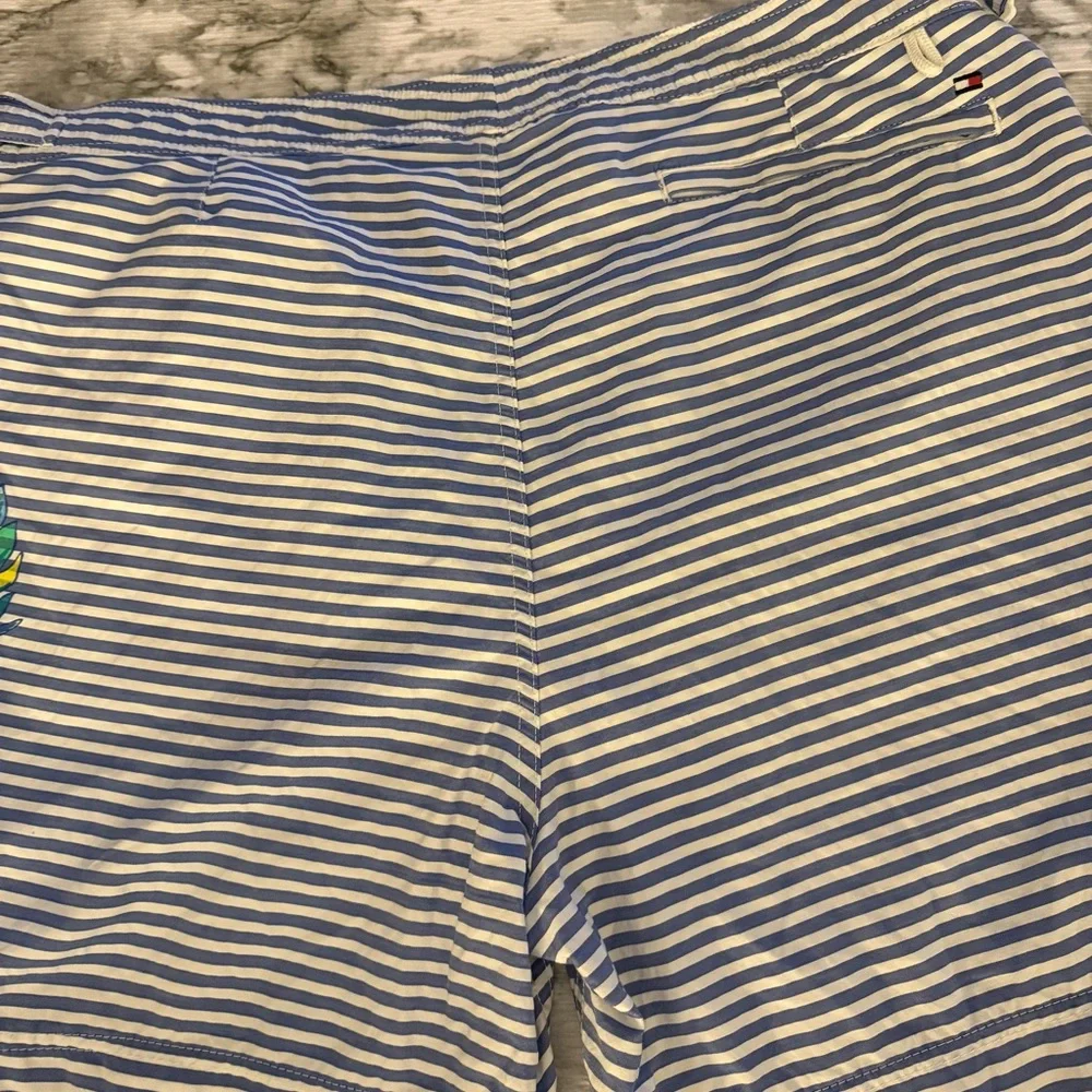 Tommy Hilfiger stylish blue